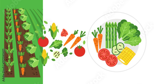 Fresh Vegetables Growing and on Plate.