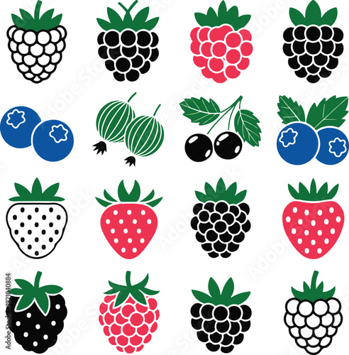 Berry fruit icon collection vector illustration