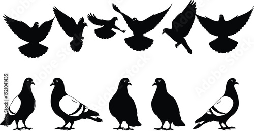 Black octopus silhouettes set featuring various poses of cephalopods with curling tentacles for nautical marine life and ocean vector design