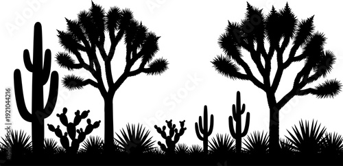 Arid desert landscape silhouette with cacti and joshua trees