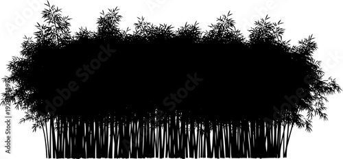 Bamboo forest thicket silhouette asian landscape