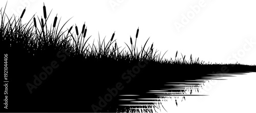 Bulrush and marsh grass silhouette reflecting on calm water surface