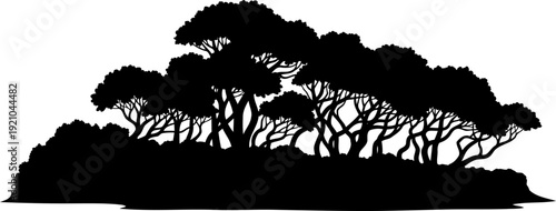 Clump of coastal trees silhouette with curved trunks and dense foliage
