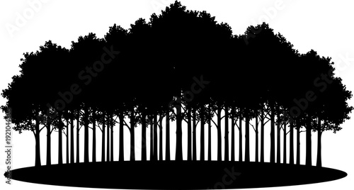 Dense forest tree line silhouette with visible trunks