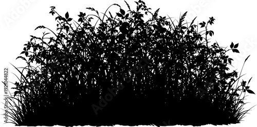 Dense garden shrub silhouette with intricate foliage