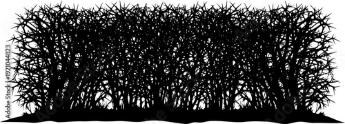 Dense thorny thicket silhouette forming a wild hedge
