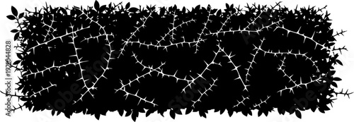 Dense thorny bush silhouette with sharp brambles
