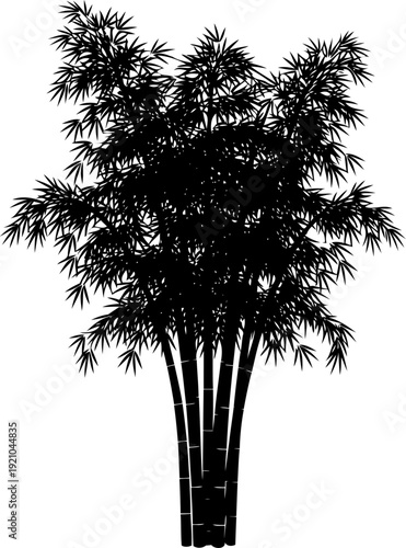 Dense bamboo stalks silhouette with leafy branches