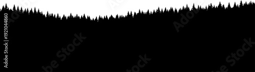 Dense pine forest horizon silhouette forming a jagged treeline