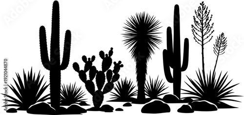 Desert cacti growing among rocks in an arid landscape