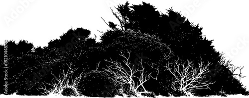 Dense wild shrubbery and bush thicket silhouette