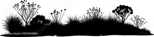 Desert scrubland vegetation silhouette with low bushes