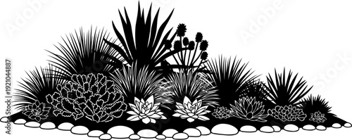Desert succulent arrangement silhouette on rocky soil