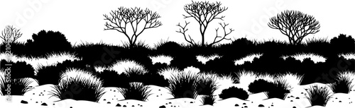 Desert scrub landscape with arid bushes and trees