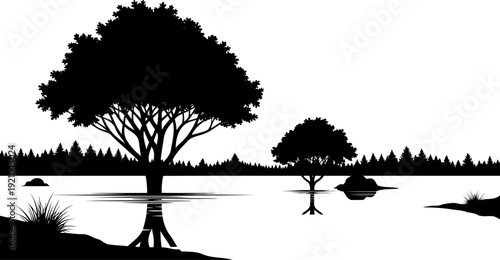 Flooded trees reflecting in calm water silhouette