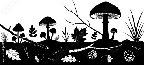 Forest floor silhouette with mushrooms acorns pine cones and fallen leaves