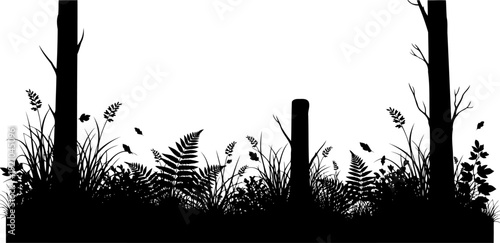 Forest floor with ferns and grass silhouette