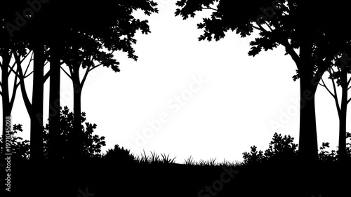 Forest meadow clearing framed by tall trees silhouette