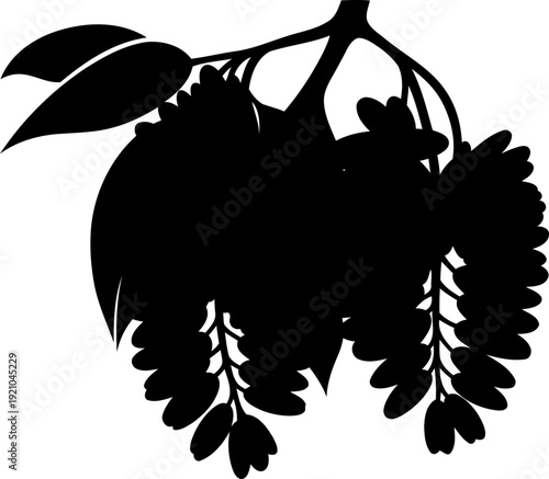 Hanging fruit branch silhouette drooping in orchard