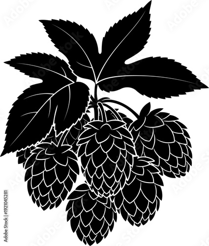 Hops plant branch silhouette for brewing industry