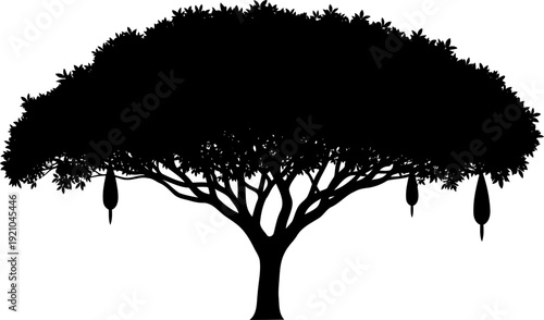 Kigelia africana sausage tree silhouette featuring hanging elongated fruits