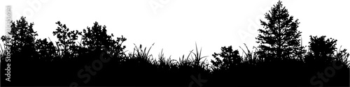 Mixed grass and shrub border landscape silhouette