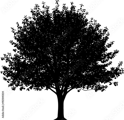 Orchard fruit tree silhouette bearing small round apples