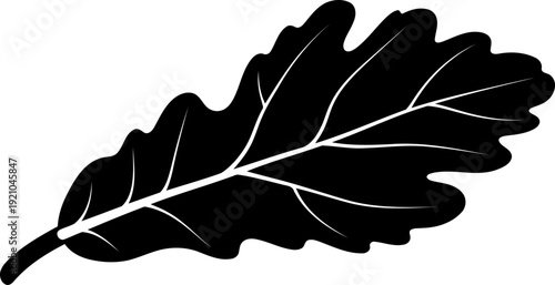 Oak leaf silhouette showing vein structure