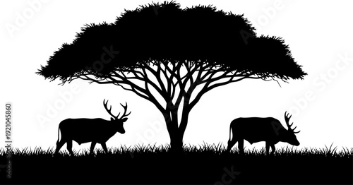 Pair of antlered deer grazing beneath a wide canopy tree