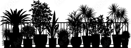 Row of various potted plants silhouette on a balcony railing