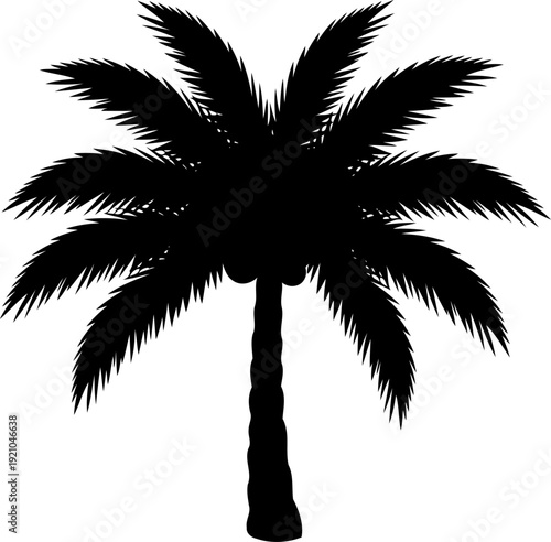 Tall coconut palm tree silhouette with drooping fronds