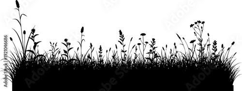 Tall weeds and field grass stand in a rural silhouette