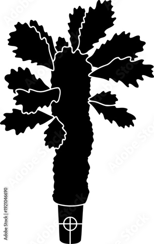 Tall succulent cactus in pot silhouette