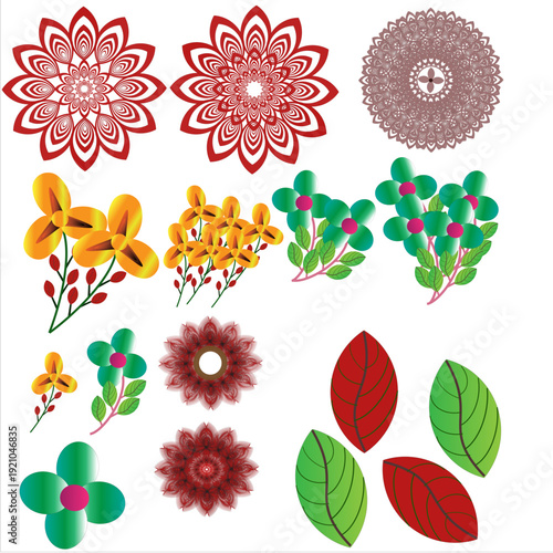 Luxury Floral Mandala Ornaments and Botanical Elements Vector Collection