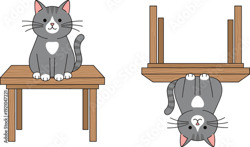 Vector illustration of a cute gray and white cat sitting on top of a wooden table and an upside down version for opposites.