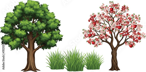 Vector illustration set featuring a large green leafy deciduous oak tree alongside a flowering apple tree with red fruit and lush green garden grass