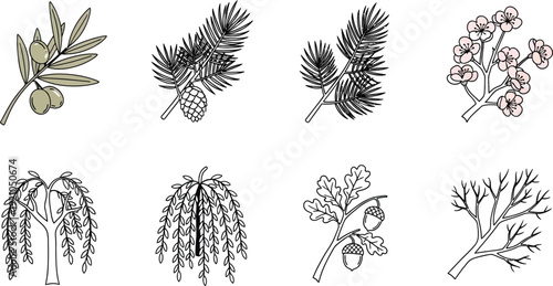 Collection of botanical illustrations featuring olive branches pine cones cherry blossoms willow trees and oak acorns perfect for nature-themed designs and educational materials