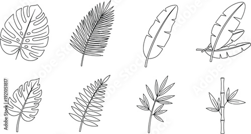 Collection of tropical leaf outlines including monstera palm and banana leaves simple vector illustrations for nature-themed design projects