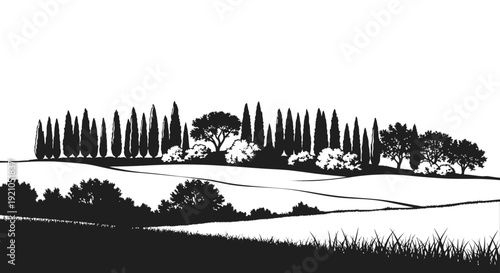 tuscan landscape silhouette illustration of classic italian rolling hills with iconic cypress trees evoking serene european countryside.