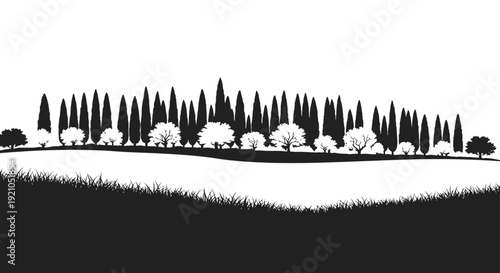 tuscan landscape silhouette with iconic cypress trees on rolling hills evoking classic mediterranean scenery ideal for travel.