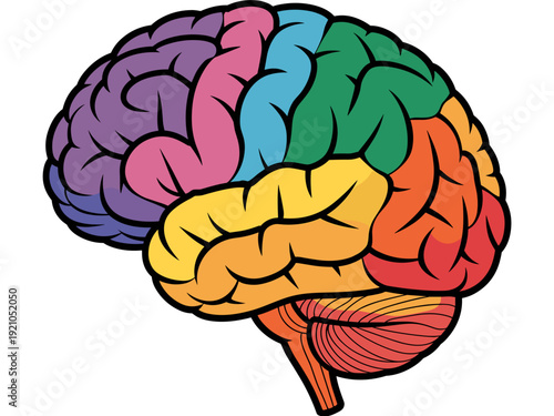 Colorful Human Brain Illustration with Distinct Lobes Purple Pink Blue Green Yellow Orange Red Cerebrum and Cerebellum, Symbolizing Cognition, Learning, Memory, Intelligence, Psychology, Neuroscience,