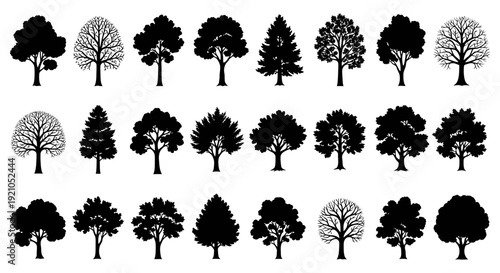 a diverse collection of isolated tree silhouettes featuring various deciduous and coniferous species with bare branches and full foliage ideal for nature forest ecology and graphic design projects.