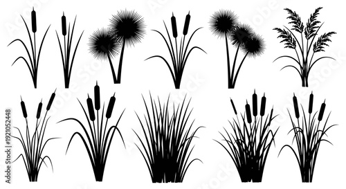 a diverse collection of wetland plants silhouettes featuring cattails reeds and tall grasses ideal for nature-themed graphic design.