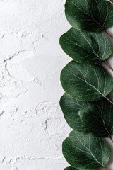 Eucalyptus Leaves Bordered in Silver Glitter on Textured Gray Background in Vertical Composition