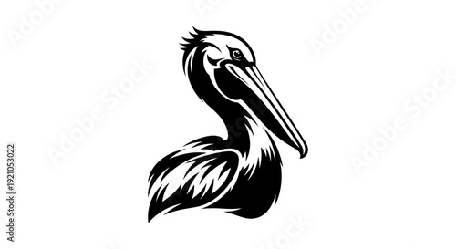 black and white pelican illustration a powerful mascot or emblem for marine wildlife branding sports teams and coastal design.