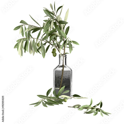 olive oil and olive branch