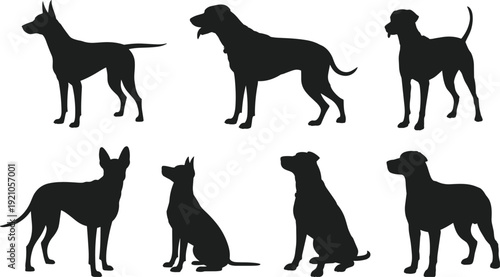 Collection of black dog silhouettes featuring various breeds standing and sitting in profile for pet care veterinary services animal shelter and domestic canine concepts