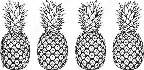 Four black and white pineapples in a row, each with a leafy crown on top. Vector