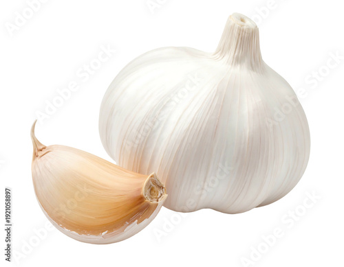 Fresh garlic bulb and clove isolated on white background.