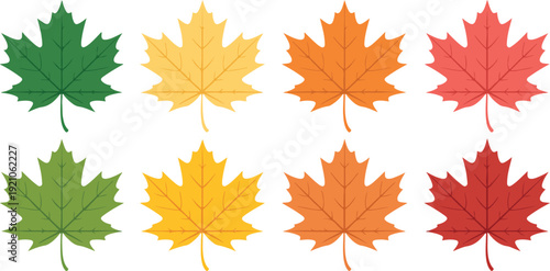 Red, Green, Yellow and Orange Autumn Leaves Isolated on White Background